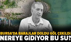 İznik Gölü alarm veriyor: “Barajlar taştı, göl çekilmeye devam ediyor”