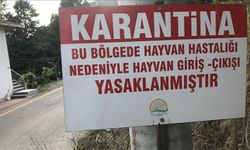 Kuduz vakası sonrası 7 mahalle karantinaya alındı