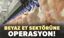 Beyaz et sektörüne operasyon! 13 şirkete kayyım atandı