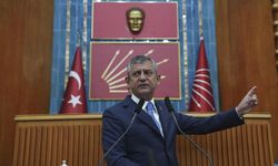 Özel'in kuracağı yeni partinin isminden sonra logosu da sızdı