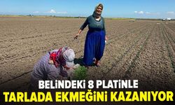 Belindeki 8 platinle tarlada ekmeğini kazanıyor