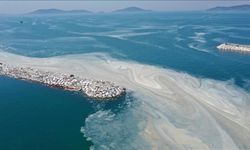 Bursa Alarmda: Marmara Denizi’nde Müsilaj Korkusu Yeniden Yükseldi