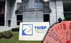 TMSF’den TELE1 kararı