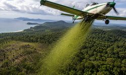 Helikopterle havadan 700 bin tane bıraktılar