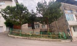 Betonların arasında yükselen vasiyet: Bursa’daki üç çamın duygulandıran hikâyesi