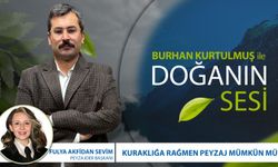 Kuraklığa Rağmen Peyzaj Mümkün Mü? | Fulya Akfidan Sevim  - PEYZAJDER Yönetim Kurulu Başkanı