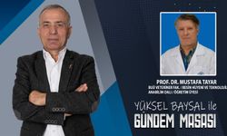 Beyaz Et Operasyonu Sonrası Kritik Sorular | Gündem Masası | Prof. Dr. Mustafa Tayar Cevaplıyor