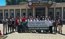 Kızıl Geyikler için meydana indiler: “Bu karardan vazgeçin”