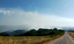 Bursa'da korkutan yangın