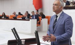 Kayıhan Pala'dan Su Kirliliği Yönetmeliği Tepkisi: "Bilimsel Dayanak Kamuoyuna Açıklanmalı"