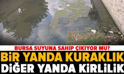 Bursa kuraklıkla mücadele ederken dereler alarm veriyor