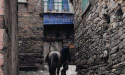 Kitapların arasında bir şehir hafızası: 'Bellek' Bursa’da