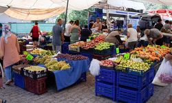 Pazardan '2,5 kilo' muz aldı ama gerçek bambaşka çıktı