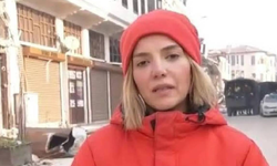 Gazeteci Gülnur Saydam gözaltına alındı