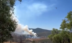 Bursa’da orman yangını: Ekipler alevlere müdahale ediyor