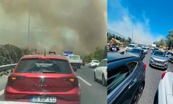 Yangından korkutan görüntüler! İzmir-İstanbul Otoyolu'na ulaştı