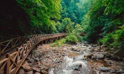 Bursa'da doğa turizmi için tarihi adım