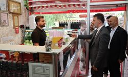 Başkan vekili Biba'dan İznik'e kültür merkezi ve B Kafe müjdesi