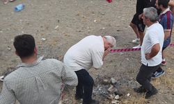İznik Gölü’nden acı haber geldi