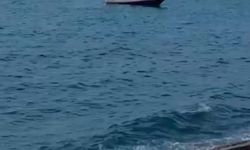 Sahile vuran İHA için bomba imha ekipleri çağrıldı