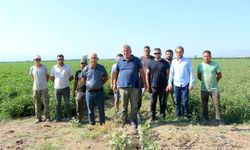 Bursa’da 230 bin dekar arazi için çeltik ilaçlı su alarmı