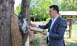 Başkan Vekili Biba'dan hayvanat bahçesi'ne ziyaret
