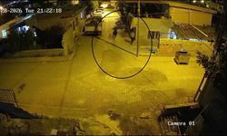 Mahallede panik anları: Firari angus sokakları birbirine kattı