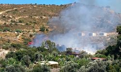 Bodrum'da makilik alanda korkutan yangın