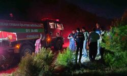 Adana'daki orman yangını kontrol altına alındı
