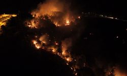 Adıyaman'da orman yangını