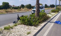 Ağaca çarpan motosikletin sürücüsü yaşam mücadelesini kaybetti