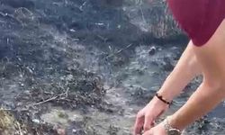 Alevlerin arasından kurtardıkları kaplumbağayı serinlettiler