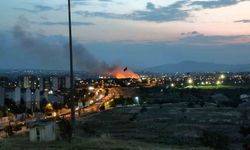 Ankara'da otluk arazide yangın