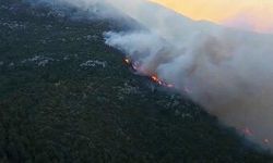 Antalya Kaş'ta orman yangını