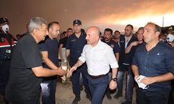 Aydın Valisi Varol yangın bölgesinde incelemelerde bulundu