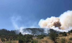 Balıkesir Kepsut'ta orman yangını