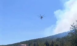 Balıkesir'de bir orman yangını daha