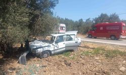 Balıkesir'de otomobil zeytin ağacına çarptı: 2 yaralı