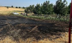 Bandırma'da çıkan anız yangını büyümeden söndürüldü