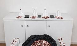 Baskında 25 bin 500 sentetik hap ele geçirildi