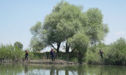 Berat'tan üç gündür haber yok