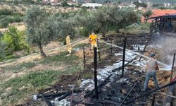 Bilecik'te bir ahır çıkan yangında kül oldu