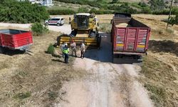 Bilecik'te hasat öncesi kritik uyarı