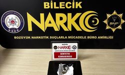 Bilecik'te uyuşturucu operasyonu: 1 gözaltı
