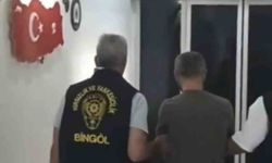 Bingöl'de çalınan 234 paket sigarayla yakalanan şüpheli tutuklandı