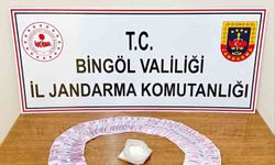 Bingöl'de jandarmadan huzur operasyonu: 4 tutuklama