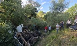 Bingöl'de pikap uçuruma yuvarlandı: 3 ölü, 2 yaralı