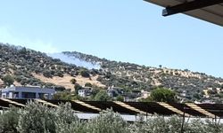 Bozdoğan'daki zirai alan yangını kontrol altına alındı
