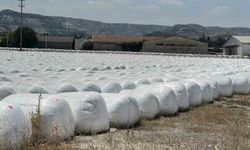 Burdur Şeker Fabrikası'na 'kötü koku' cezası