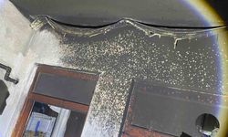 Buzdolabı bomba gibi patladı